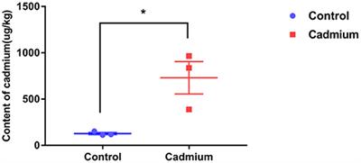 Whole Transcriptome Profiling of the Effects of Cadmium on the Liver of the Xiangxi Yellow Heifer